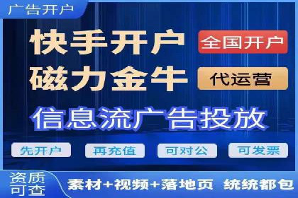 网络推广竞价策略案例分析